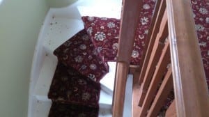 carpet types, wliton and axminster carpet