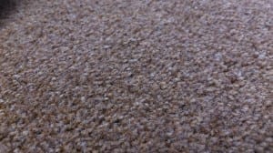 polypropylene carpet example